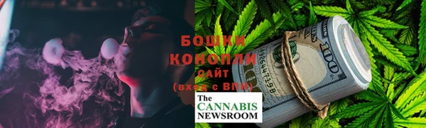 ГАЛЛЮЦИНОГЕННЫЕ ГРИБЫ Арсеньев